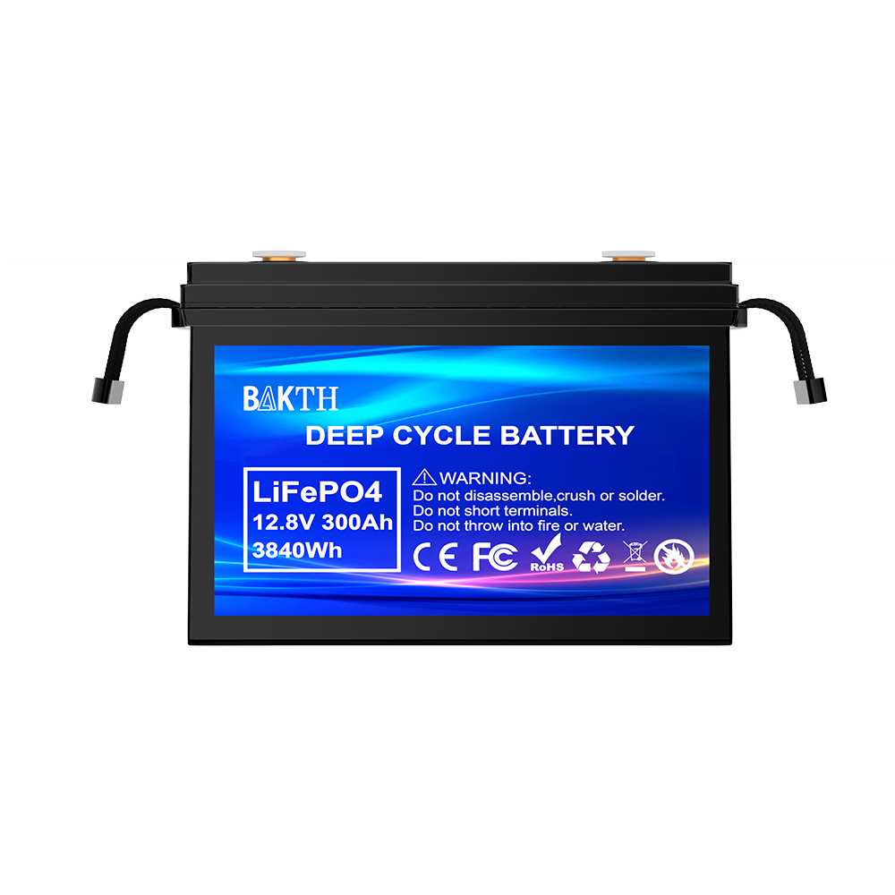 BAKTH-LiFePO4 12.8V 300Ah