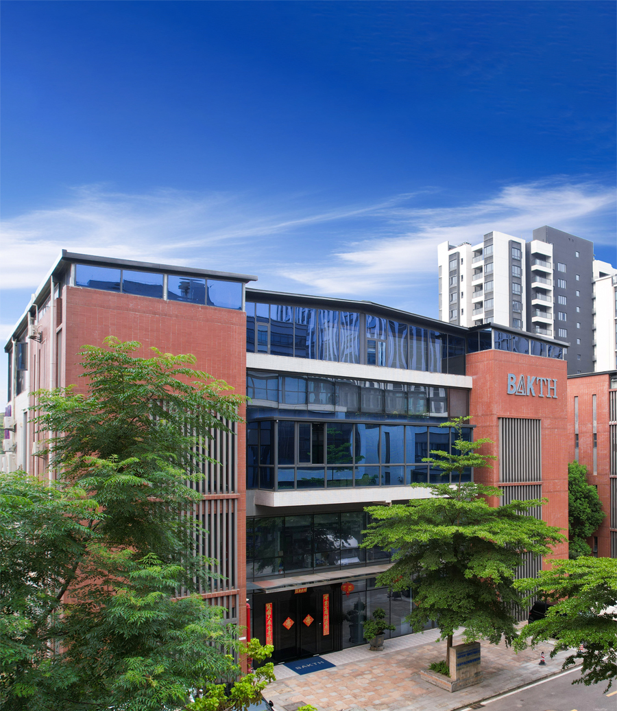 Bak Technology Development process