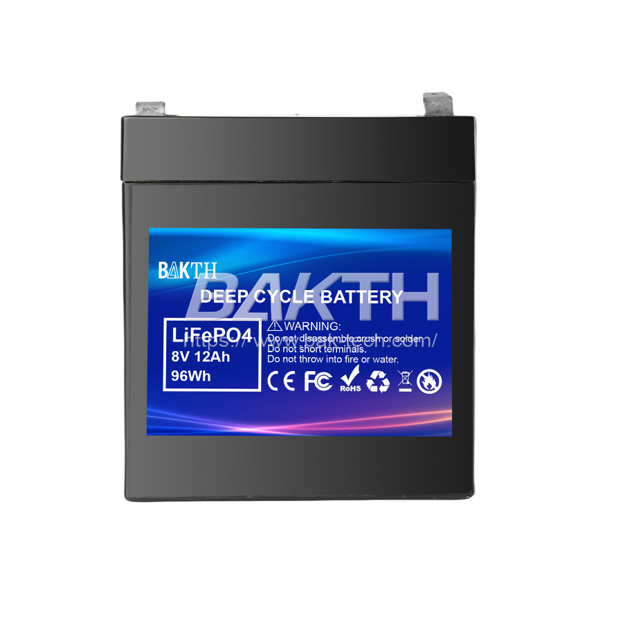 BAKTH-LiFeO4 8V 12Ah, 96Wh