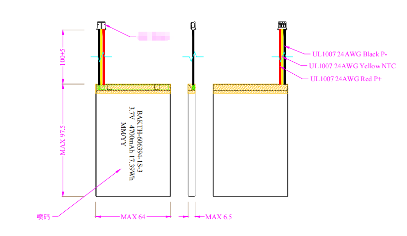 Application Case for Portable ECG Monitor