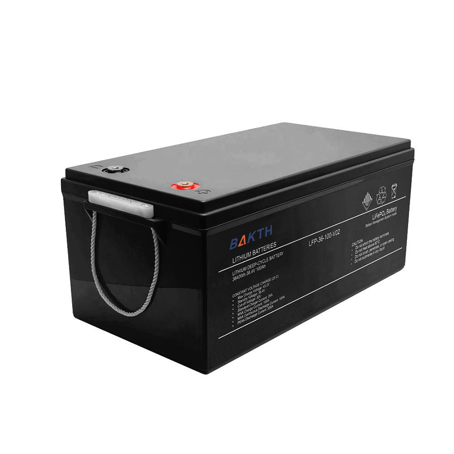 BAKTH-LiFePO4 38.4V, 100Ah, 3840Wh